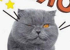 扬州副局长戴璐婚内出轨被曝，多次与副市长同居同房引热议