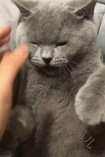 影帝零点看书引热议，娱乐圈吃瓜文化背后的深层次观察