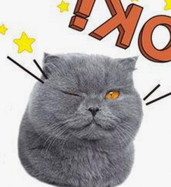 扬州副局长戴璐婚内出轨被曝，多次与副市长同居同房引热议